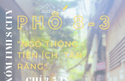 Bán nhà phố 8/3, ngõ thông tứ tung, đi bộ ra Time City, DT37m2, giá 3.5 tỷ.